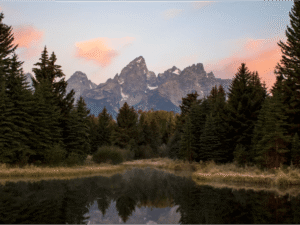 theme_placeholder