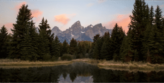 theme_placeholder